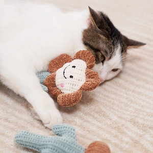 Cat Catnip Plush Toys Interactive Boredom Relief Bite Resistant Soft Knitted Sunflower Penguin Shapes Kitten Play