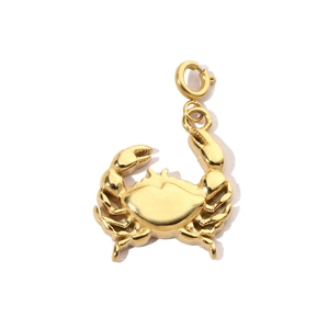 Detailed close-up of a golden crab pendant made of durable titanium steel with spring clasp
