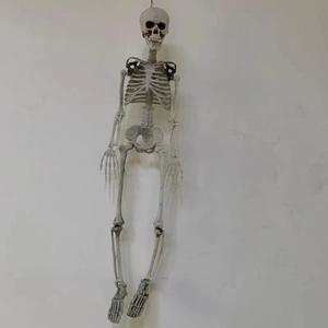 Detailed macro view of a full-body hanging plastic skeleton model for Halloween decor