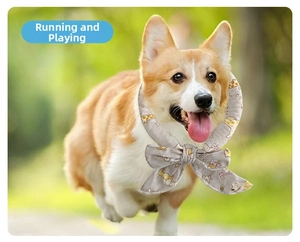 Dettaglio della bandana rinfrescante con motivi a cartoni su un Corgi che corre