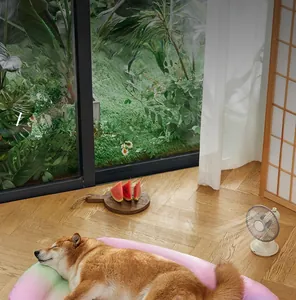 Shiba Inu dog resting on rainbow gradient pet cooling mat near a sunlit window
