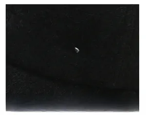 Macro view of thick faux mink fur baseball cap with silver metal Sport emblem detail