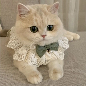 Pet Lace Collar Bib With Bowknot And Faux Artificial Pearl Pendant Elegant Decorative Scarf For Cats Small Dogs Sweet Style