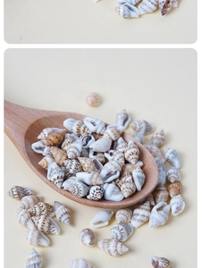 Makroansicht kleiner natürlicher Muscheln in Holzlöffel für DIY-Handwerk und Aquarien