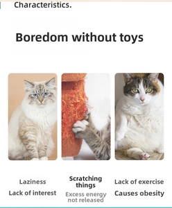 Hanging cat toy helps solve boredom and prevents furniture damage from scratching