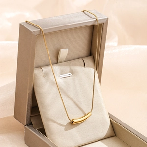 Titanium Steel Minimalist Curved Tube Pendant Necklace Gold Silver Clavicle Chain For Women Daily Wear Fashion Jewelry Gift