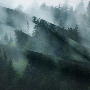 Dettaglio dell'arazzo foresta che mostra la trama fitta e la consistenza del tessuto