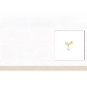 Spécifications détaillées des boucles d'oreilles fleur en argent S925 et zircon