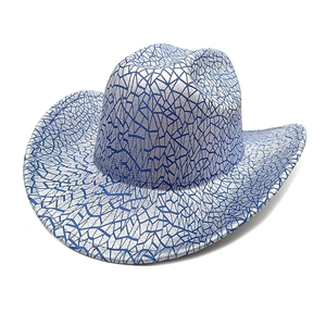 Detail of silver cowboy hat with metallic blue geometric pattern for party wear