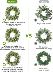 Detail view showing thick eucalyptus foliage and berries versus sparse competitor wreath