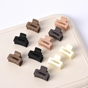 Lot de 10 mini-pinces à cheveux mates aux tons neutres comme crème, café et beige