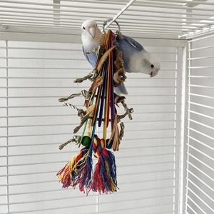Colorful bird toy with wooden pieces and cotton rope tassels in cage with blue parrots
