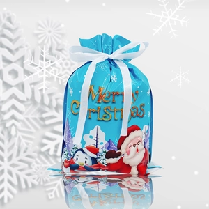 Close-up of blue Christmas drawstring gift bag with Santa Claus and penguin prints