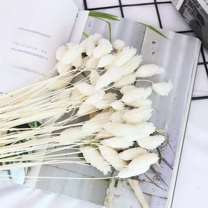 Natural dried white gemstone grass bouquet for DIY candles and home floral decoration