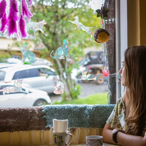 Rainbow prism holographic cat window stickers reflecting colorful light in a sunlit room
