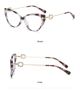 Detail view of cat-eye frames with tortoise pattern and crystal-studded metal temples