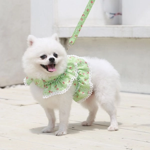 Detail of floral lace pet harness and leash set worn by white dog on wood deck