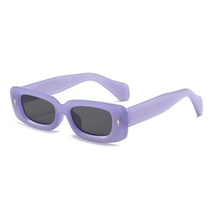 Fashionable purple rectangular sunglasses with gold rivets and dark grey tinted lenses