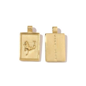 Macro shot of gold 18k stainless steel Capricorn pendant with embossed goat and text