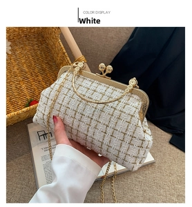 Detail of white tweed handbag with gold metal clasp and versatile chain strap