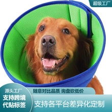 Detail view of breathable mesh pet recovery collar with blue and green contrast on Golden Retriever