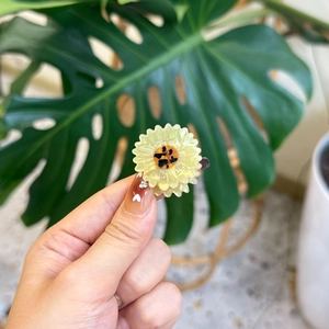 Close-up of a mini acrylic sunflower hair clip in yellow and brown held by fingertips