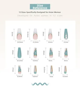 Guide des tailles pour faux ongles présentant 12 dimensions de 6,5 mm à 13,5 mm de large