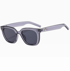Detail of grey transparent sunglasses with silver star decoration on the temples