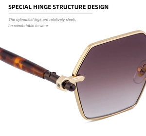 Detailed close-up of specialized hinge and tortoiseshell temple on metal sunglasses