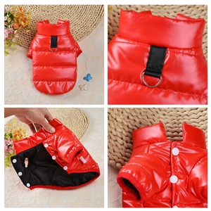 Gilet rouge imperméable pour chien avec boucle en D et doublure chaude pour petits chiens