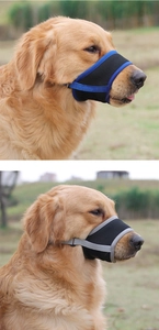 Detail view of breathable mesh dog muzzle in blue and grey showing secure side fit on a Golden Retriever