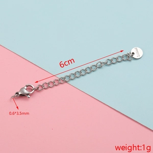 Detail of 6cm stainless steel extender chain with lobster clasp and S.Steel engraved tag