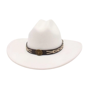 Detailed macro of white wool felt cowboy hat with brown leather band and bull emblem