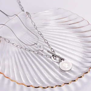 Detail of silver double-layered titanium necklace with clover and coin pendant on glass