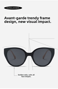 Detailed view of oversized cat-eye sunglasses with thick black frames and metal temples