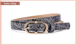 Detail shot of grey snakeskin pattern faux leather belt with golden oval metal buckle