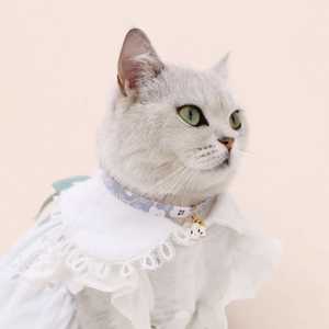 Adjustable white lace pet collar with cloud pendant for cats and dogs in Japanese style