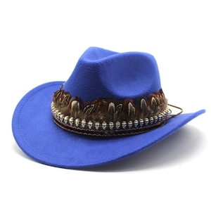 Close-up of royal blue wool cowboy hat featuring brown feathers and silver skull details