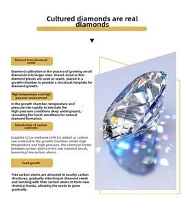 Detailed chart of HPHT lab-grown diamond synthesis process and carbon crystal structure