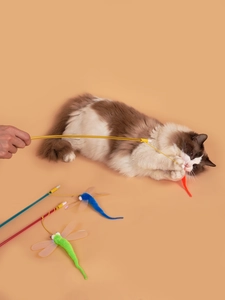 Interactive cat wand with feathers and plastic rod shown in play with a Ragdoll cat