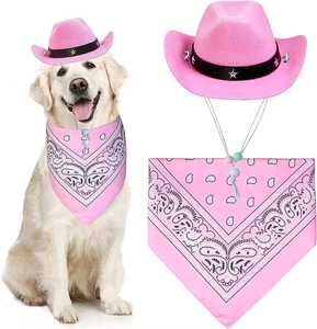 Pink star-studded cowboy hat and bandana set on a golden retriever dog