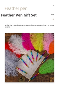 Rainbow metal feather ballpoint pen set in vintage style on a dark wood background