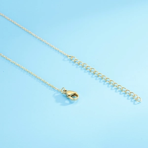 Détail du fermoir mousqueton doré et de la chaîne d'extension réglable pour collier