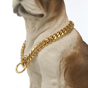 Detailed close-up of a 10mm golden Cuban link stainless steel dog chain on a bulldog model
