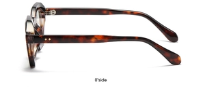 Close-up of tortoise shell glasses frame with dual metal rivets and hinge detail