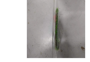 Detail view of green Christmas garland with red accents in protective plastic packaging