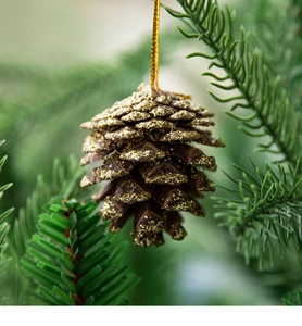 Close-up of natural brown pine cone with gold glitter hanging on a Christmas tree branch