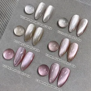Ceramic cat eye nail polish set with 6 shades including silver and champagne gold effect