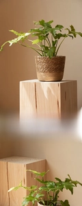 Detailed view of handwoven natural seagrass planter basket on a wooden base decor