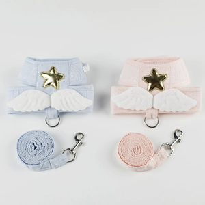 Harnais pour chat bleu et rose avec ailes d'ange et laisse pour petits animaux